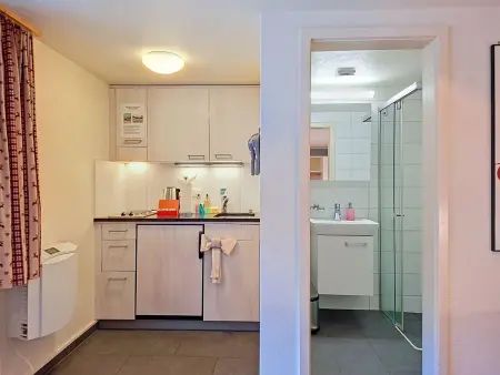 Chalet Schwendihus, Appartement 2 personnes à Grindelwald - Photo 11