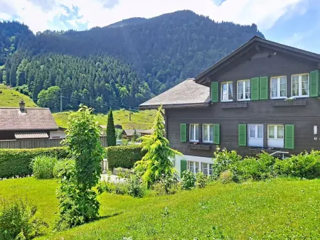 Chalet Schwendihus, Appartement 2 personnes à Grindelwald - Photo 19