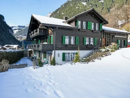 Chalet Schwendihus, Appartement 2 personnes à Grindelwald - Photo 23