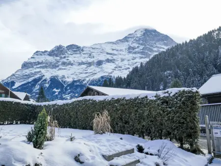 Chalet Schwendihus, Appartement 2 personnes à Grindelwald - Photo 24