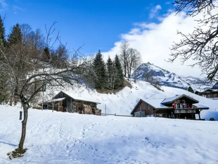 Chalet Schwendihus, Appartement 2 personnes à Grindelwald - Photo 25