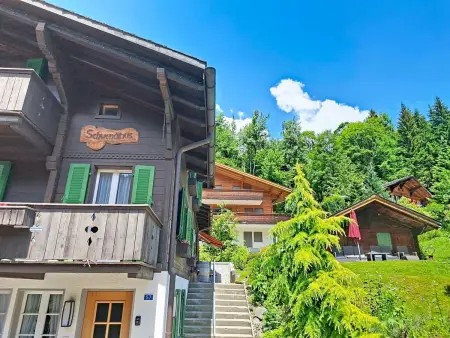 Chalet Schwendihus, Appartement 2 personnes à Grindelwald - Photo 26