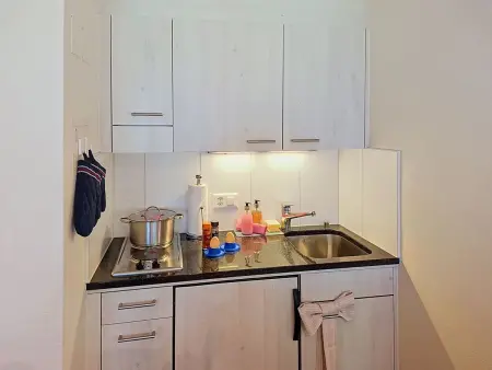 Chalet Schwendihus, Appartement 4 personnes à Grindelwald - Photo 7