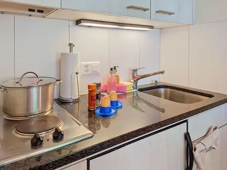 Chalet Schwendihus, Appartement 4 personnes à Grindelwald - Photo 8