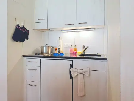 Chalet Schwendihus, Appartement 4 personnes à Grindelwald - Photo 9