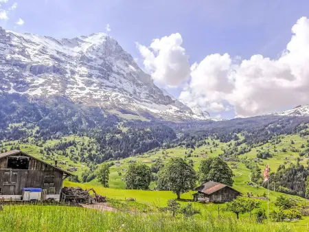 Chalet Jolimont, Appartement 4 personnes à Grindelwald - Photo 21