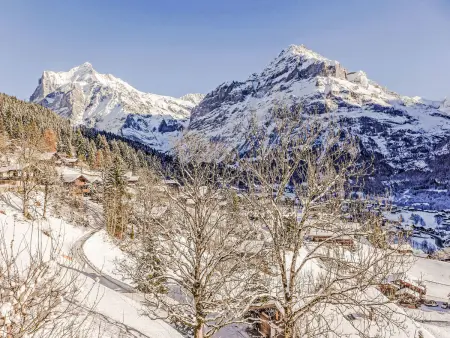 Chalet Jolimont, Appartement 4 personnes à Grindelwald - Photo 31