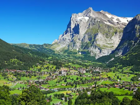Chalet Jolimont, Appartement 4 personnes à Grindelwald - Photo 34