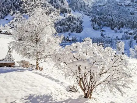 Chalet Bärgsunna, Appartement 4 personnes à Grindelwald - Photo 16