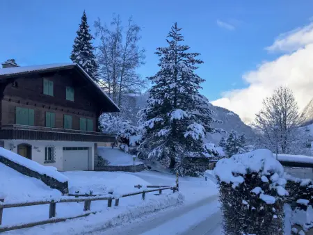 Chalet Anna, Appartement 4 personnes à Grindelwald - Photo 20