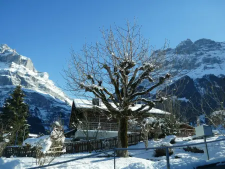 Chalet Anna, Appartement 4 personnes à Grindelwald - Photo 25