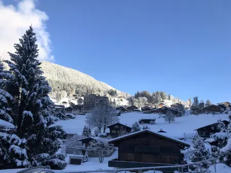 Chalet Anna, Appartement 4 personnes à Grindelwald - Photo 27