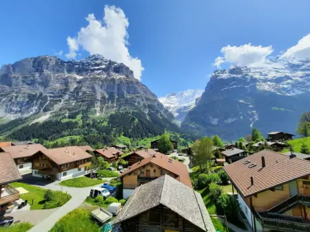 Steinbilla, Appartement 4 personnes à Grindelwald - Photo 26