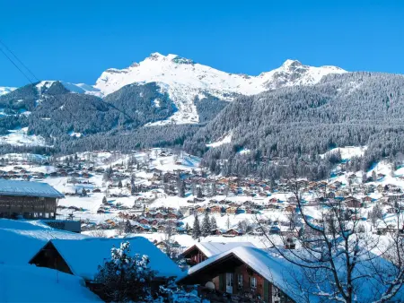 Steinbilla, Appartement 4 personnes à Grindelwald - Photo 33