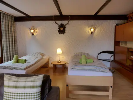 Stocki, Chalet 4 personnes à Lauterbrunnen - Photo 9