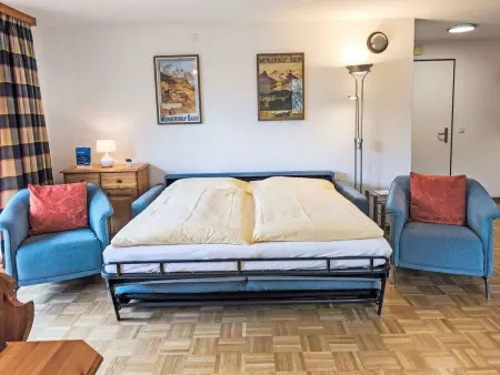 Rose Apt. Y, Appartement 4 personnes à Wengen - Photo 15