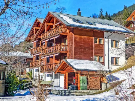 Rose Studio Y, Appartement 2 personnes à Wengen - Photo 23