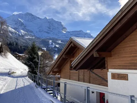 Rose Studio Y, Appartement 2 personnes à Wengen - Photo 24