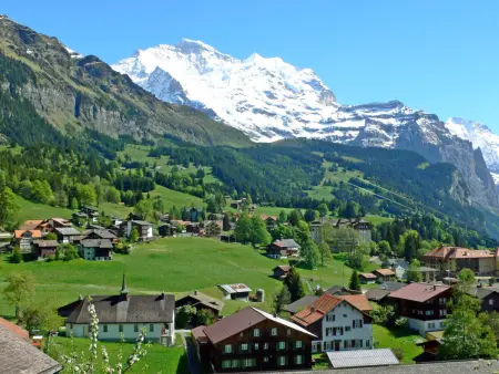 Rose Studio Y, Appartement 2 personnes à Wengen - Photo 28