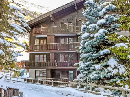 Sungold, Appartement 2 personnes à Zermatt - Photo 13