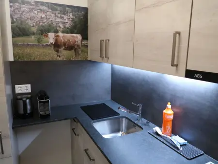Ringstrasse Apt 213, Appartement 4 personnes à Loèche les Bains - Photo 9