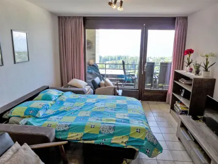 Jeanne D'Arc Apt. H2-49, Appartement 4 personnes à Crans Montana - Photo 13