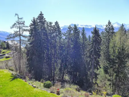 Les Faverges 5, Appartement 2 personnes à Crans Montana - Photo 19