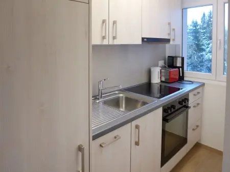 Barzettes-Vacances 553 / Entrée N° 14, Appartement 3 personnes à Crans Montana - Photo 10