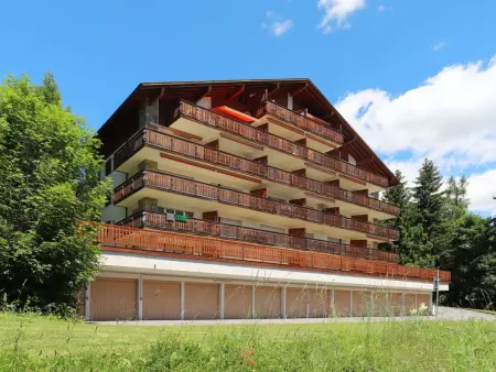 Marigny Andolla 23, Appartement 4 personnes à Crans Montana - Photo 26