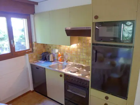 Terrasse Des Alpes 3008, Appartement 4 personnes à Crans Montana - Photo 9