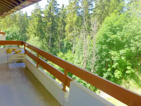 Terrasse Des Alpes 3008, Appartement 4 personnes à Crans Montana - Photo 15