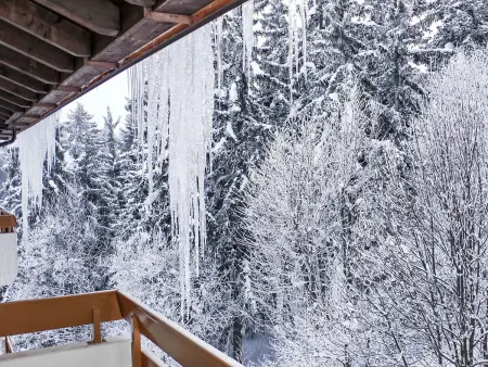 Terrasse Des Alpes 3008, Appartement 4 personnes à Crans Montana - Photo 26