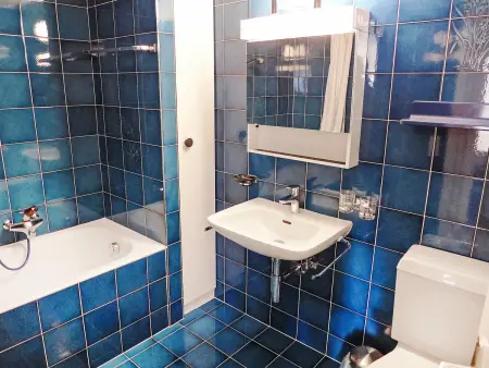 Terrasse Des Alpes 814, Appartement 4 personnes à Crans Montana - Photo 12