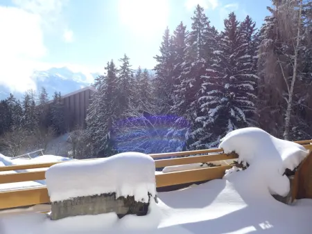 Terrasse Des Alpes 815, Appartement 4 personnes à Crans Montana - Photo 29