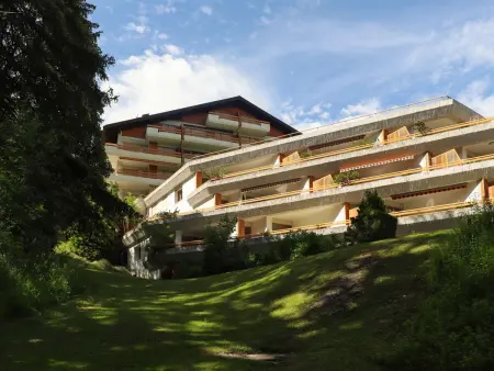 Terrasse Des Alpes 708, Appartement 4 personnes à Crans Montana - Photo 26
