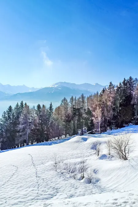 Mischabels 5, Appartement 5 personnes à Crans Montana - Photo 28