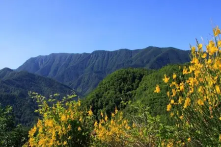 Olequarto, Demeure du 15ème siècle située au coeur de la Toscane. - Photo 29