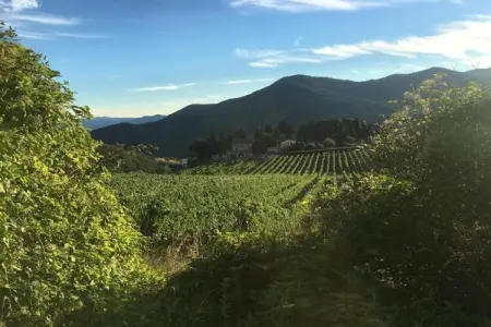 Olequarto, Demeure du 15ème siècle située au coeur de la Toscane. - Photo 30