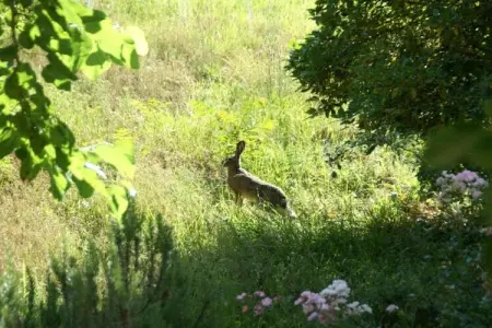 Olequarto, Demeure du 15ème siècle située au coeur de la Toscane. - Photo 33