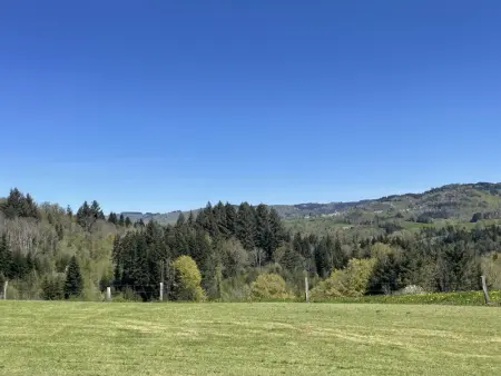 Maison indépendante avec jardin pour famille et animaux bienvenus - Photo 17