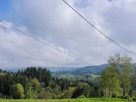 Maison indépendante avec jardin pour famille et animaux bienvenus - Photo 22
