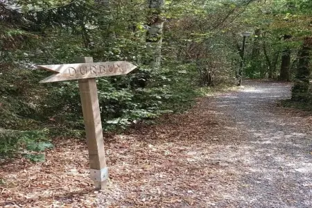 CHATEAU CALON SEGUR, Maison 6 personnes à Wéris - Photo 32