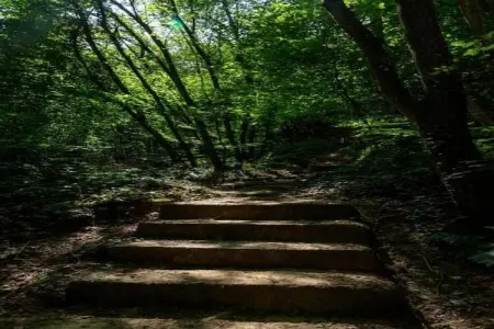 Camping Nommerlayen 1, Tente 5 personnes à Nommern - Photo 24