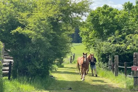 Camping Nommerlayen 2, Tente 5 personnes à Nommern - Photo 24