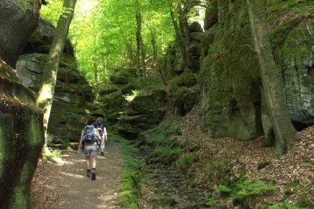 Camping Nommerlayen 2, Tente 5 personnes à Nommern - Photo 27