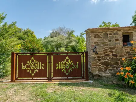 Bandiera, Gite 6 personnes à Cinigiano - Photo 29