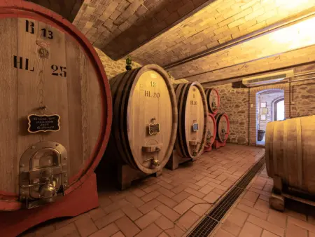 Bandiera, Gite 6 personnes à Cinigiano - Photo 30