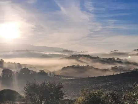 Le Calle, Maison 6 personnes à Cinigiano - Photo 5