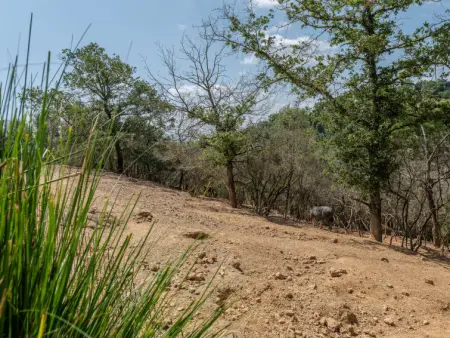 Le Calle, Maison 6 personnes à Cinigiano - Photo 49