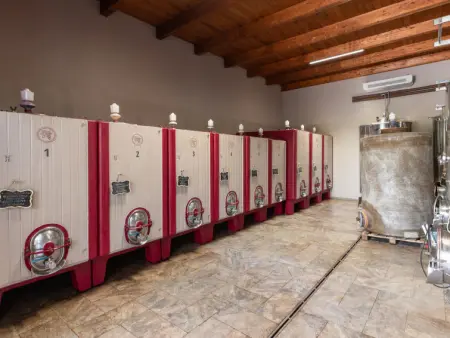 Le Calle, Maison 6 personnes à Cinigiano - Photo 50